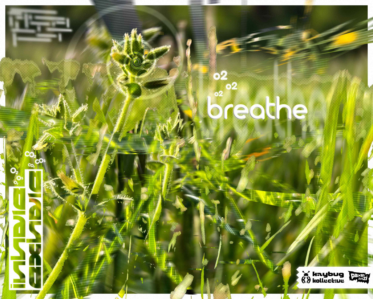 &quot;oxygen&quot; made for Kaybug Kollective&#39;s Seasons Collection